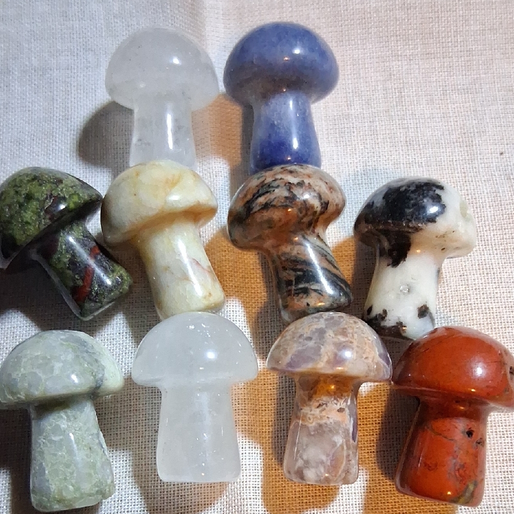 MM2 Set of 10 Stone Mushroom Figurines